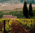 /album/photogallery/castellina-in-chianti-mp1-jpg/